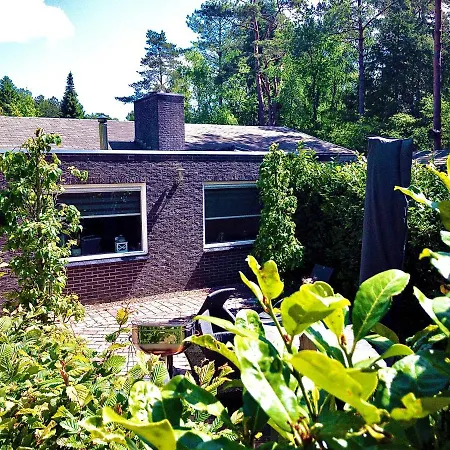 Vakantiehuis De Drie Beuken *