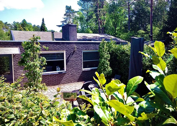 Semesterbostad De Drie Beuken *