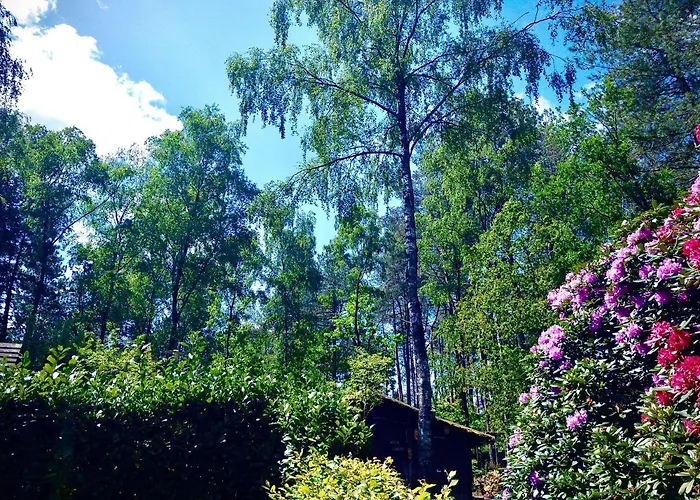 Dom wakacyjny De Drie Beuken 't Harde