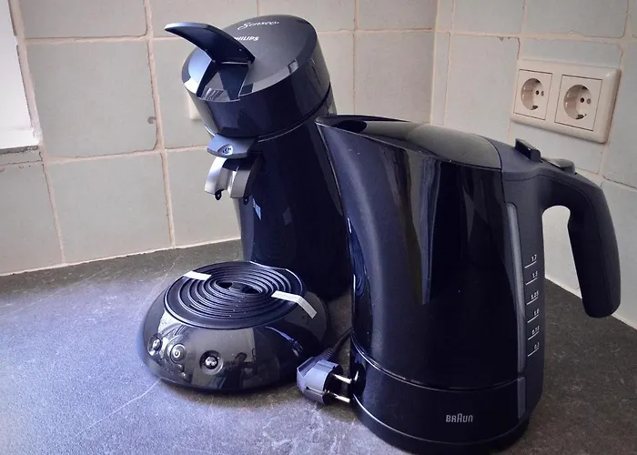 De Drie Beuken Dom wakacyjny *